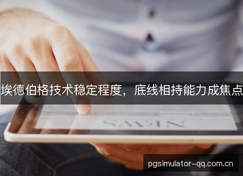 埃德伯格技术稳定程度，底线相持能力成焦点